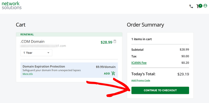 Continue to checkout to renew your domain