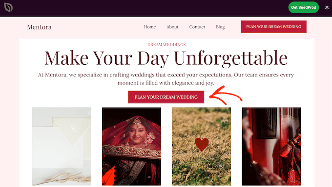 An example of a high-converting landing page template, provided by SeedProd An example of a high-converting landing page template, provided by SeedProd