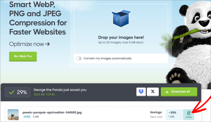 comprimir imagem com TinyPNG