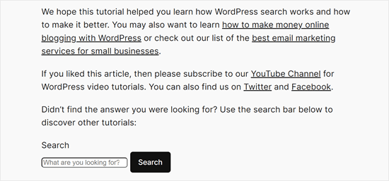 Example of a search bar added with WPCode Example of a search bar added with WPCode