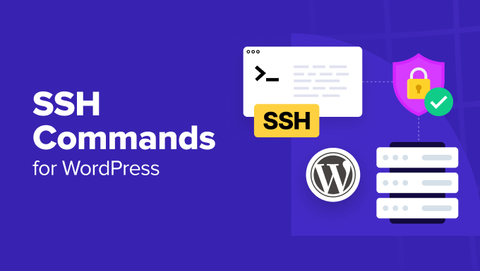 SSH commands every user should know SSH commands every user should know