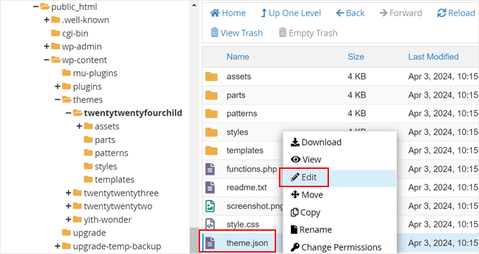 Modifica manuale di un file theme.json con il file manager di Bluehost