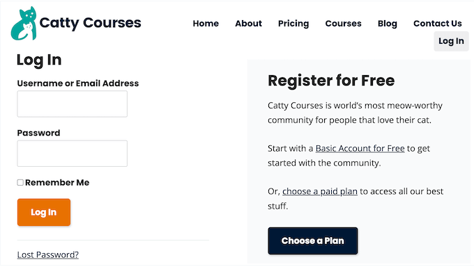 An example of a user login form