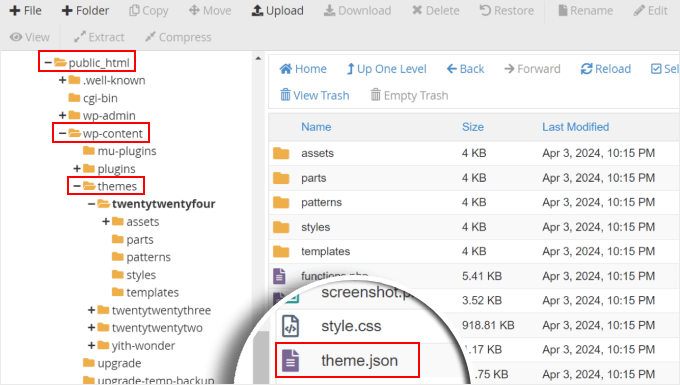 Posizione di theme.json vista nel file manager di Bluehost