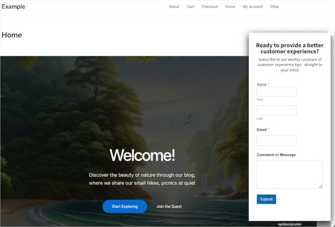 WPForms and OptinMonster's floating form on a live website WPForms and OptinMonster's floating form on a live website