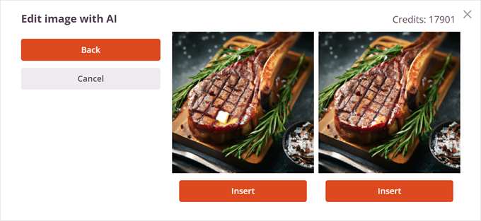 Variaciones creadas después de editar una imagen IA con el generador de imágenes IA de SeedProd Variaciones creadas después de editar una imagen IA con el generador de imágenes IA de SeedProd
