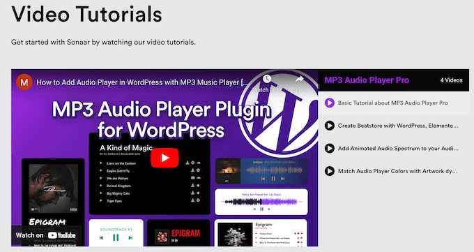 Ghidurile video Sonaar