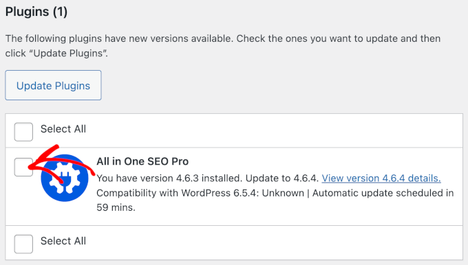 wordpress-dashboard-updates-updateplugins-checkbox Update Plugins' checkbox