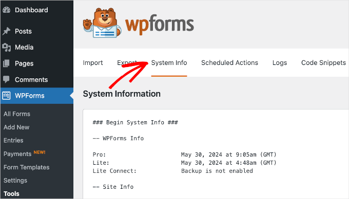 wordpress-wpforms-tools-systeminfo 2 The System Info tab in WPForms