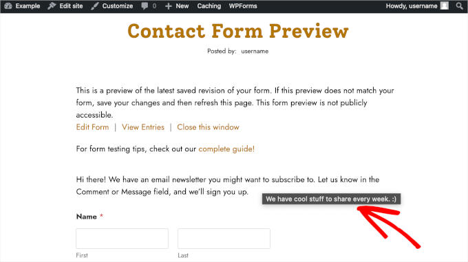 wpadminarea-wpforms-addnew-contactform-tooltip-preview Testing tooltip