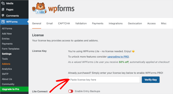 wpadminarea-wpforms-settings-verifykey WPForms' license key field