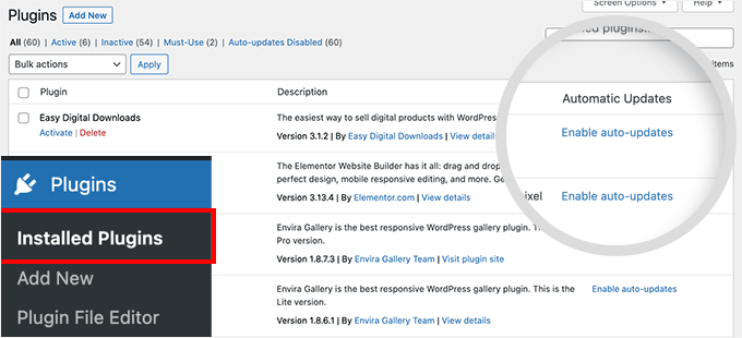 Enable automatic updates for WordPress plugins