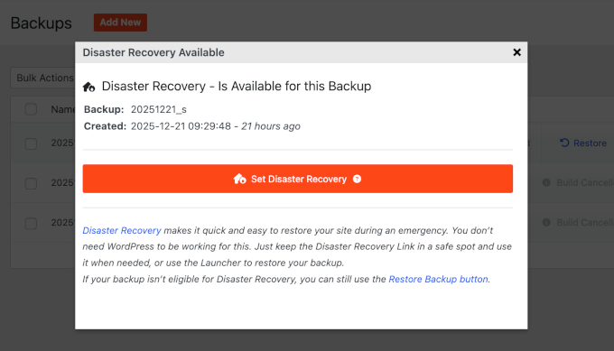 The 'Set Disaster Recovery' button in a popup