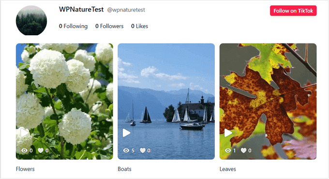 An example of an embedded TikTok feed, created using Smash Balloon An example of an embedded TikTok feed, created using Smash Balloon