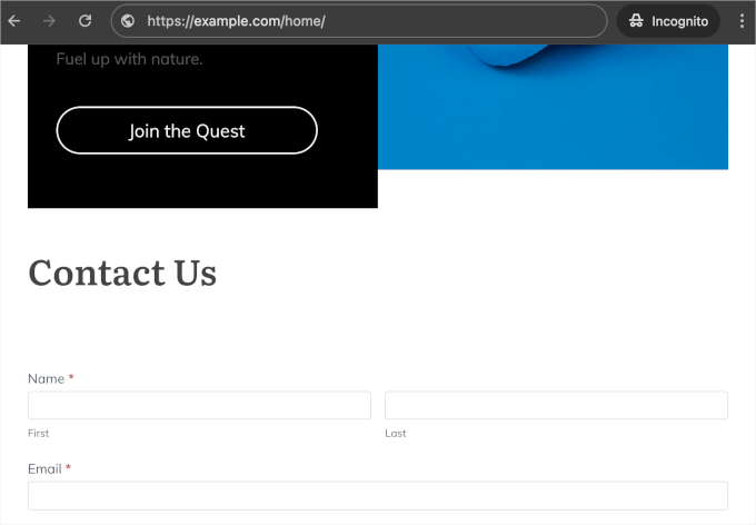 Formidable Forms on a live website Formidable Forms on a live website