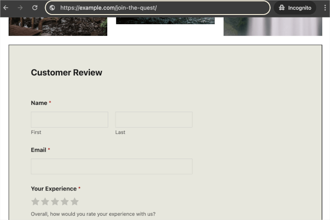 WPForms embedded on a live website WPForms embedded on a live website
