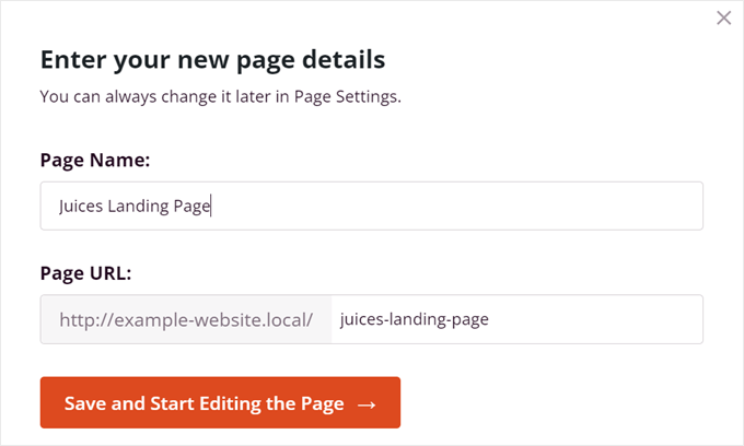 Inserting the landing page details in SeedProd Inserting the landing page details in SeedProd