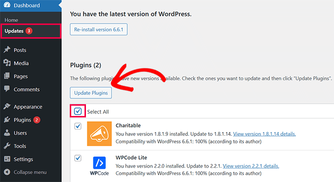 Installing WordPress updates Installing WordPress updates