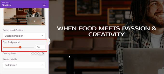 Dimming the background color in SeedProd Dimming the background color in SeedProd