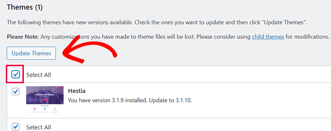 Update WordPress themes Update WordPress themes