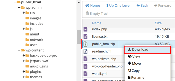 Downloading the compressed zip file from the Bluehost file manager Downloading the compressed zip file from the Bluehost file manager