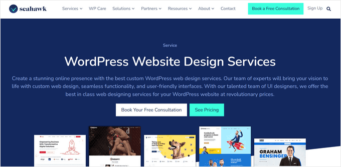 Servicios de diseño web de Seahawk Servicios de diseño web de Seahawk