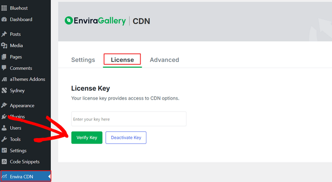 Verify Envira CDN license key