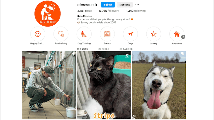 Ein Beispiel für ein gemeinnütziges Social-Media-Profil Ein Beispiel für ein gemeinnütziges Social-Media-Profil