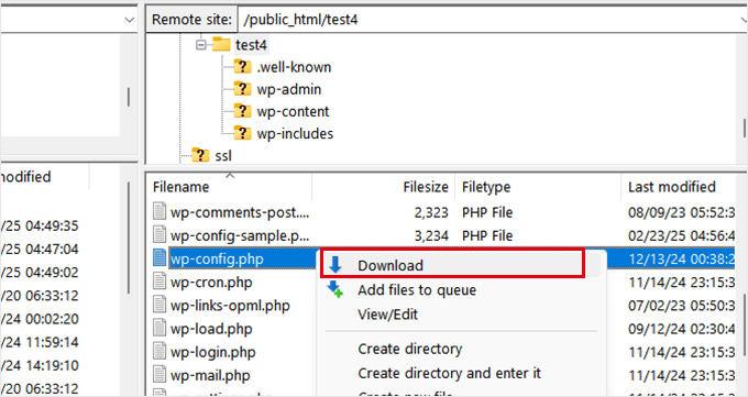 Download wp-config.php Download wp-config.php