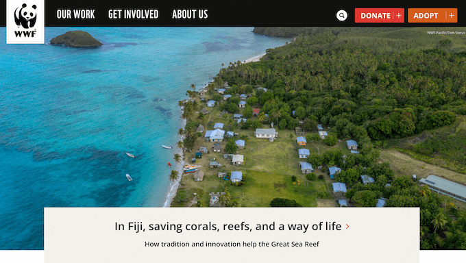 Ein Beispiel für eine gemeinnützige Website Ein Beispiel für eine gemeinnützige Website