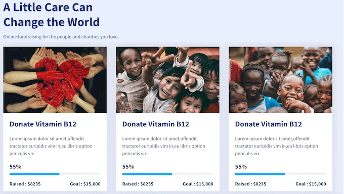 Ein Beispiel für eine gemeinnützige Vorlage, enthalten im SeedProd Page- und Website-Builder-Plugin Ein Beispiel für eine gemeinnützige Vorlage, enthalten im SeedProd Page- und Website-Builder-Plugin
