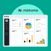 How to Set Up Matomo Analytics in WordPress