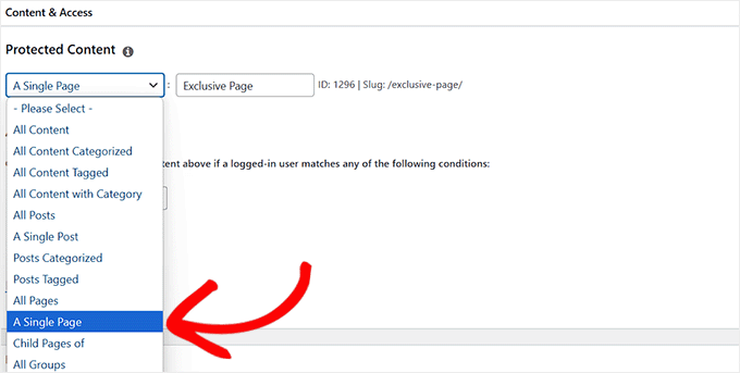 ドロップダウンメニューから保護するコンテンツを選択