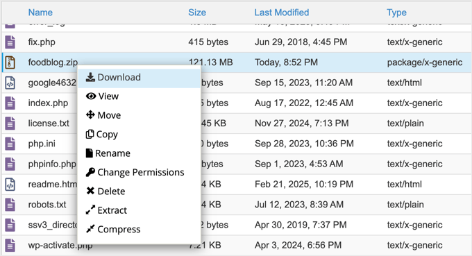 Downloading Your Website's Zip Archive Using a File Manager Downloading Your Website's Zip Archive Using a File Manager