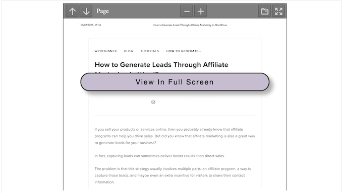 Mode plein écran adapté aux mobiles de WPConsent