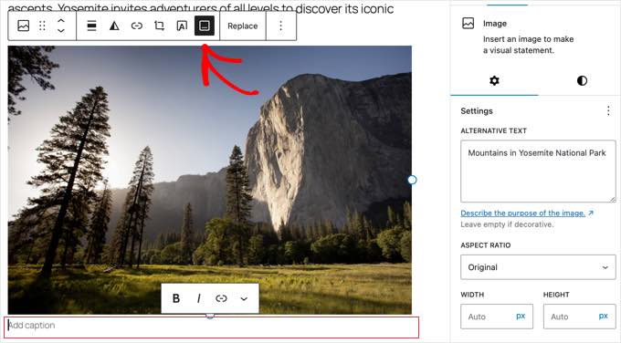 ライトボックスに画像キャプションが表示されます