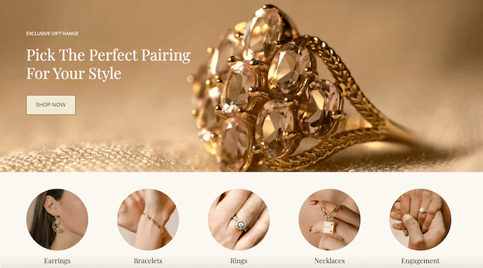 An example of a professionally-designed online store, created using Botiga