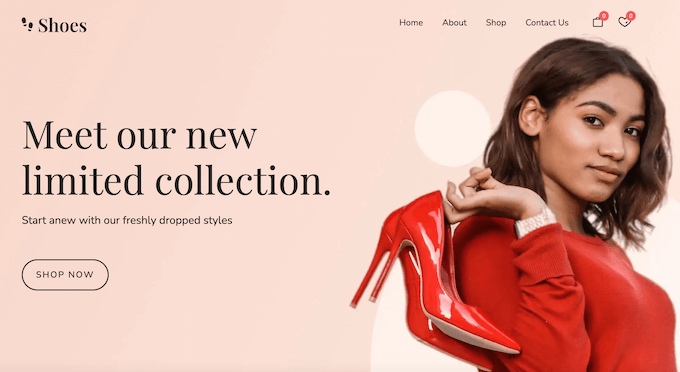 A well-designed WooCommerce store, created using the Botiga theme