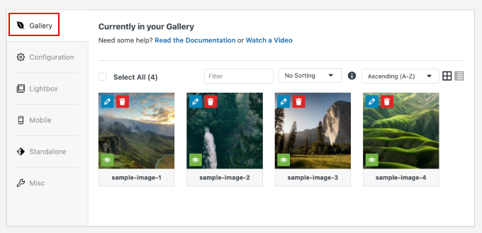 Envira Gallery 設定