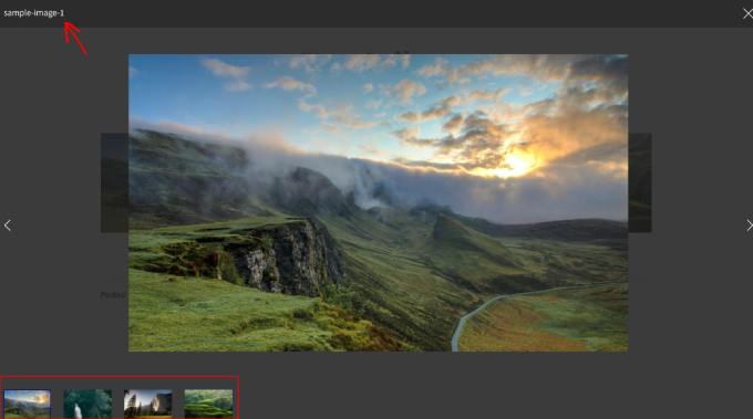 Envira Gallery ライトボックスプレビュー