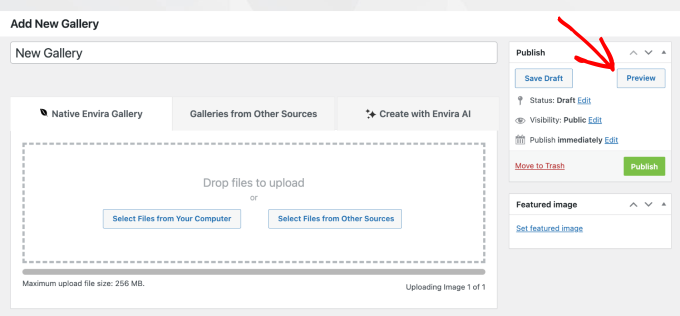 Envira Galleryプレビューボタン