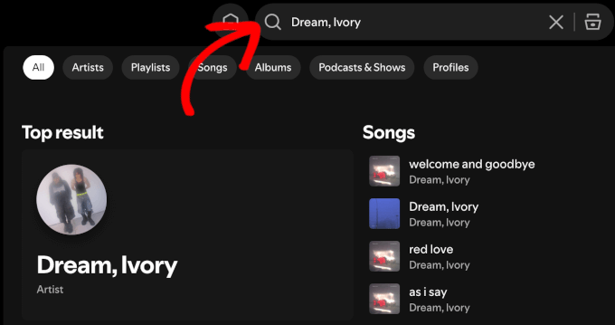Spotify検索機能の使用