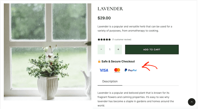Adding trust badges to your e-Commerce store