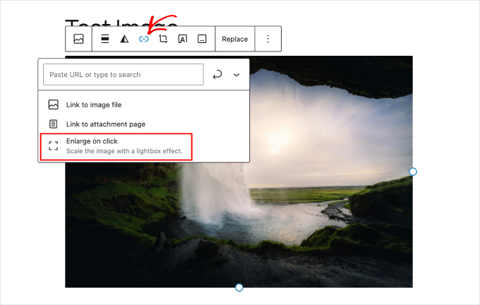 WP ブロックエディター 画像クリックで拡大オプション