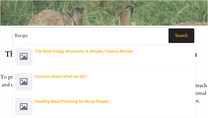 Previziune bară de căutare cu completare automată live
