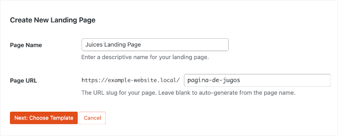 Inserting the landing page details in SeedProd