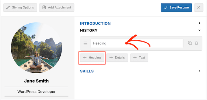 Building a digital CV in WordPress using a free plugin 