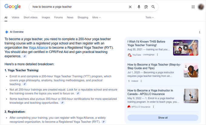Google AI overview example