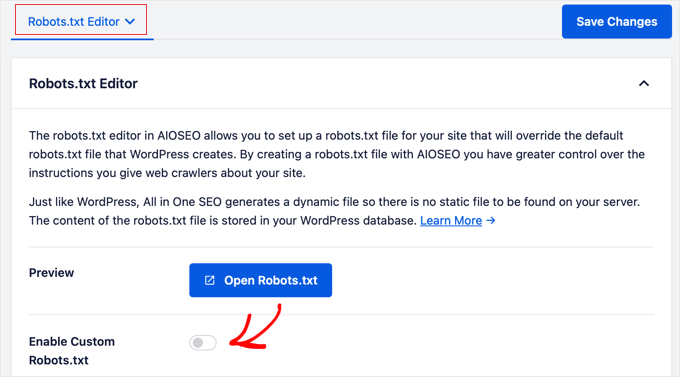 AIOSEO Robots.txt Editor Tool