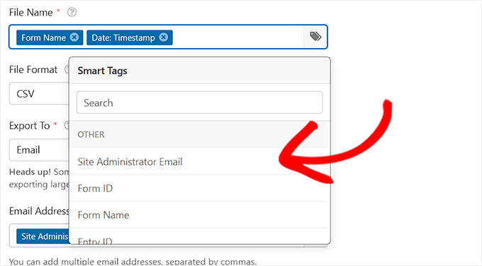 Choose a file name for export file with smart tags in WPForms